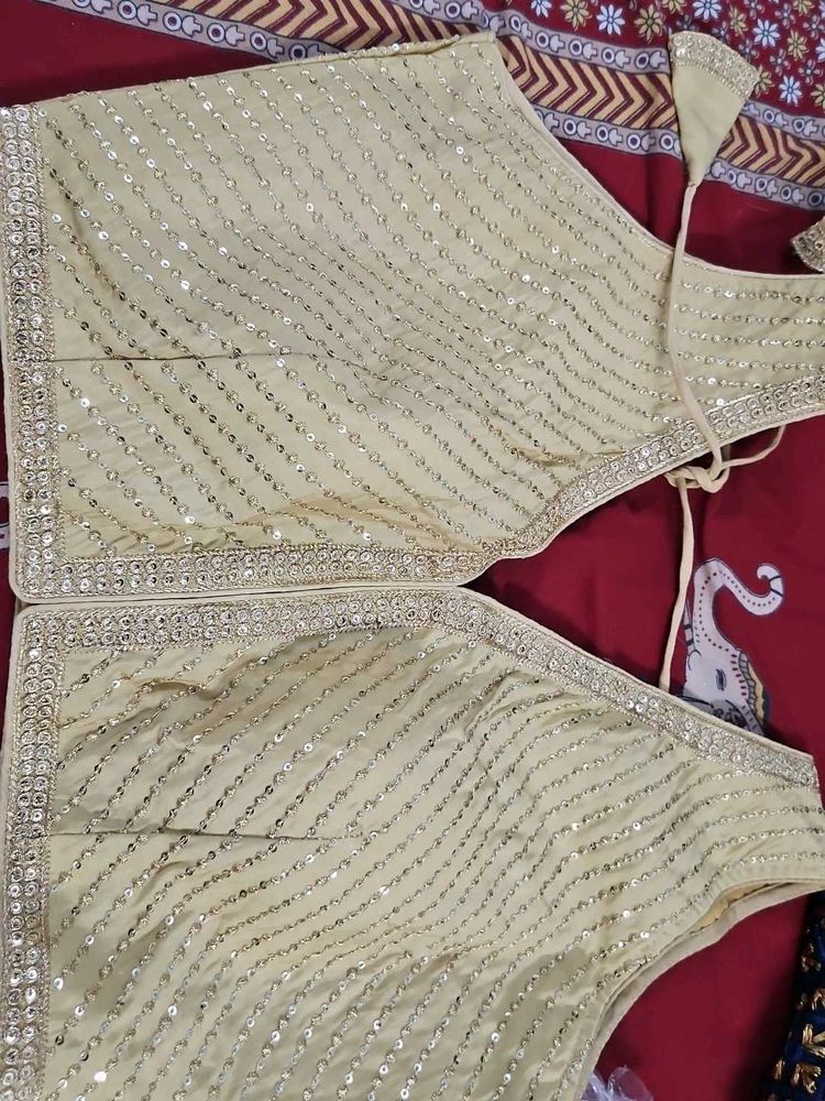 Embellished Crop Top Margin  Attached Sillves