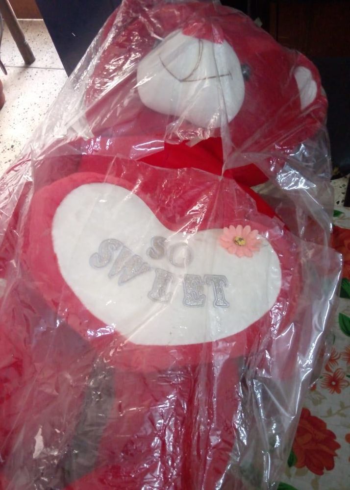 Red Teddy Bear with Heart