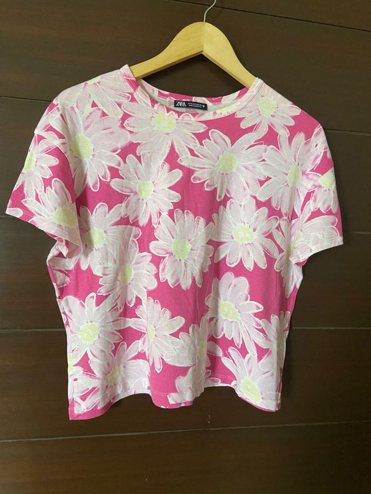 Combo of 5 branded tshirts