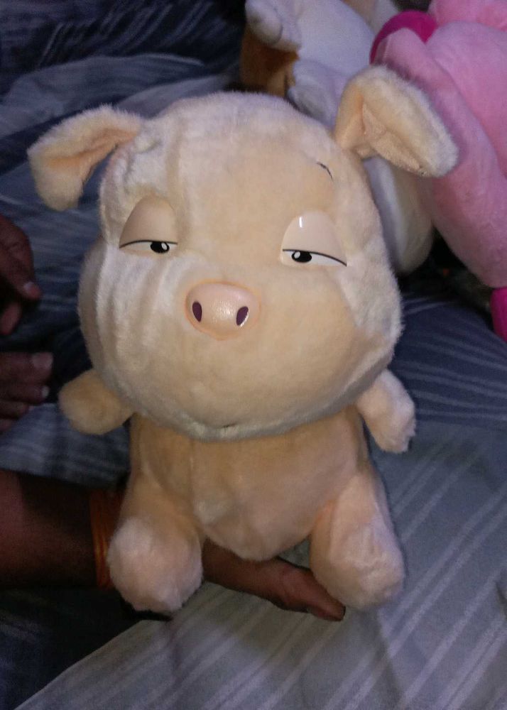Toy