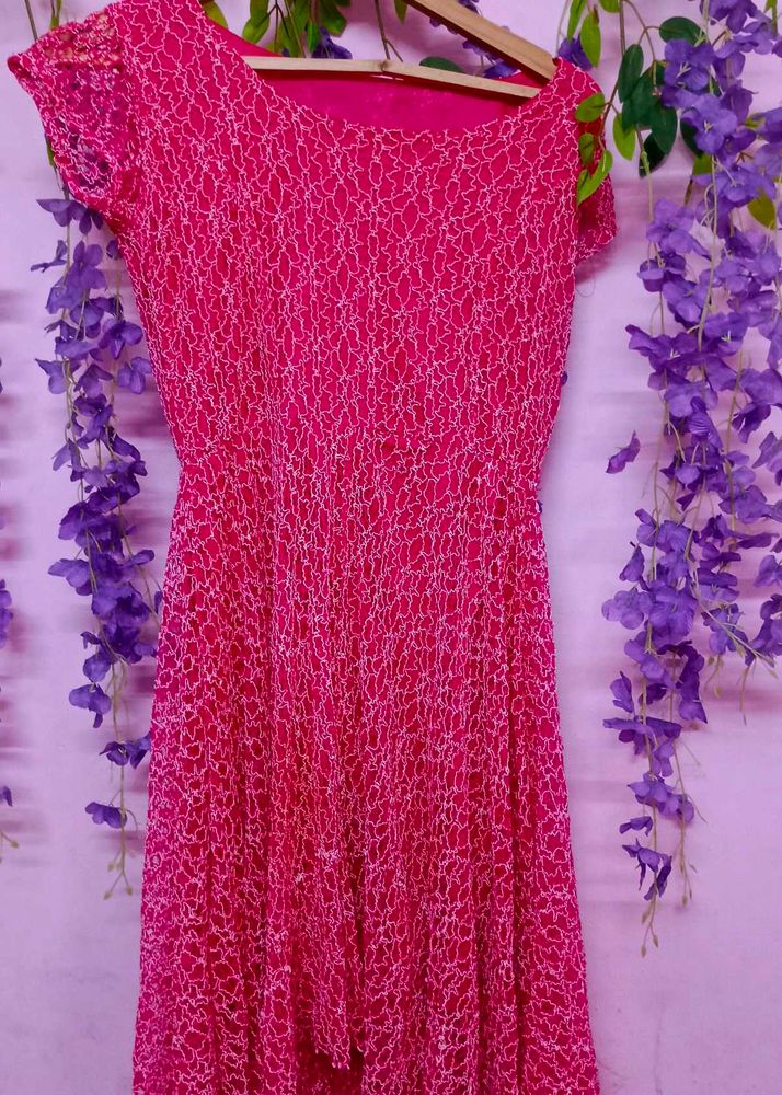 All Over Net Embroiderd Dress