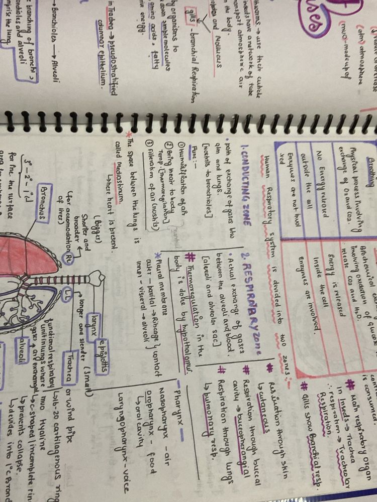 Notes + Note Making Copy