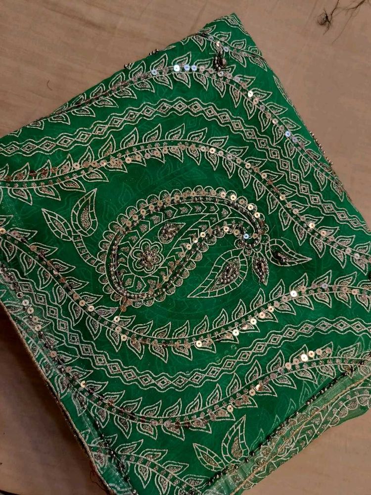 Green Sequin saree