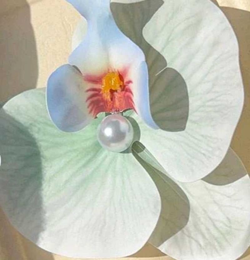 orchid flower Pearl Hair Clip