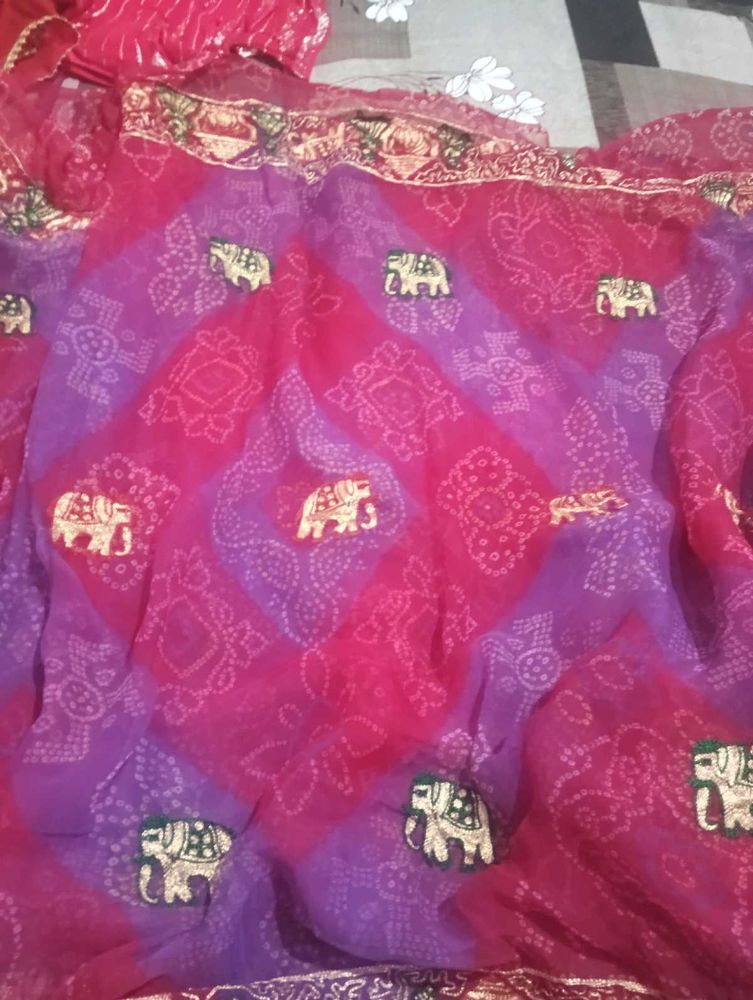 Ethnic Bandhej Saree
