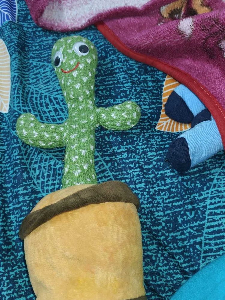 Cactus Baby Toy