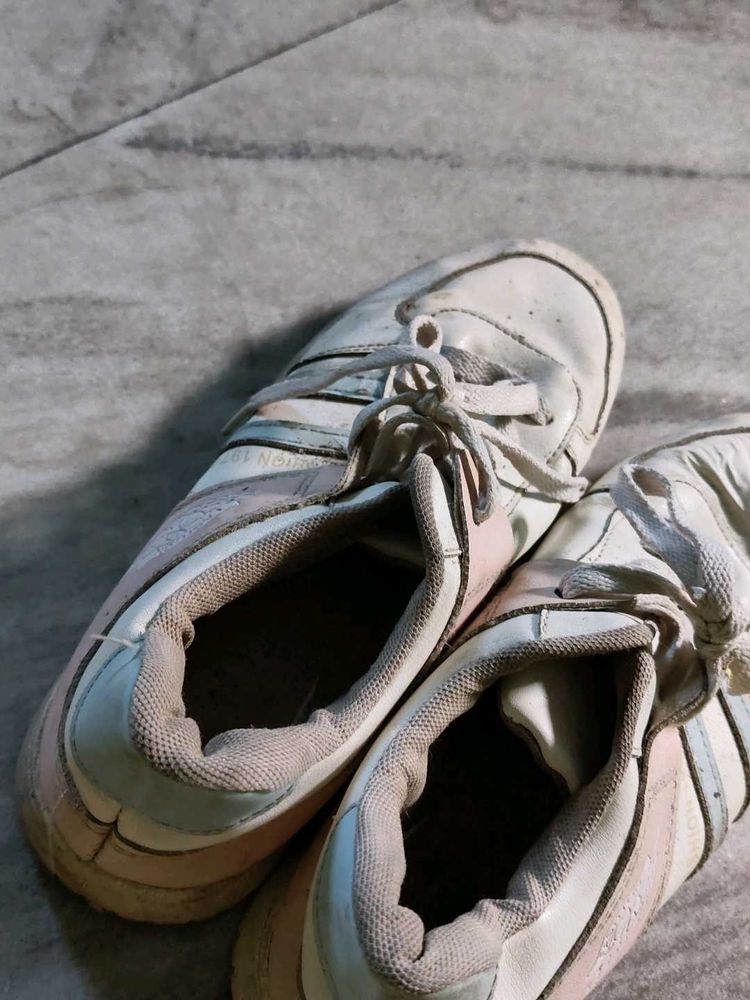 Daily Wear Sneakers