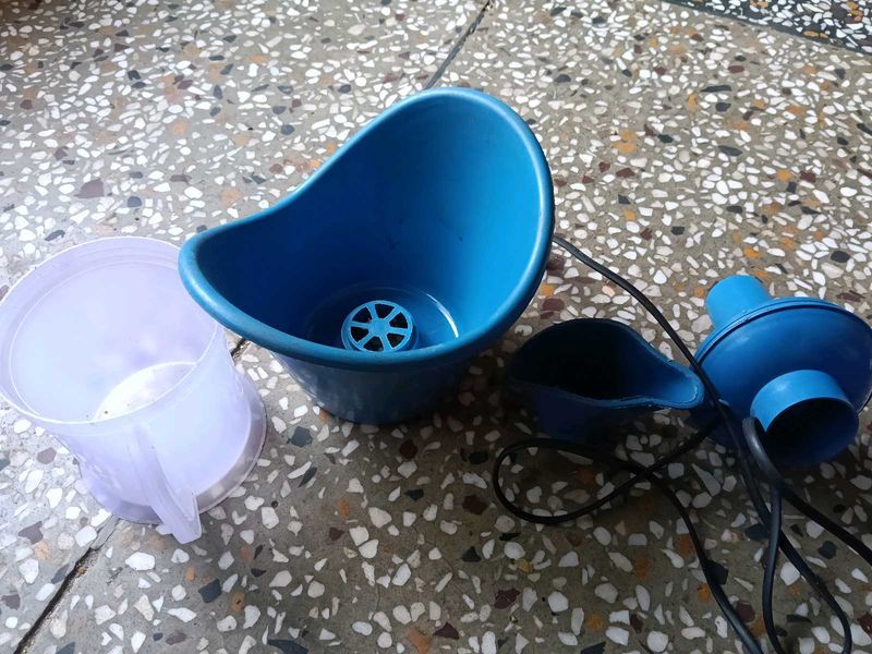 face steamer