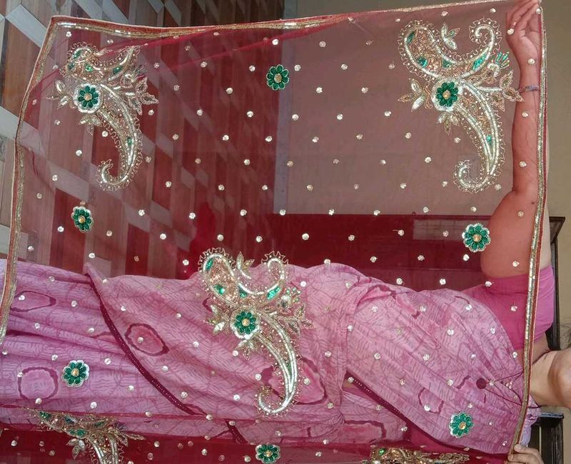 Chiffon +net Pallu With Shining