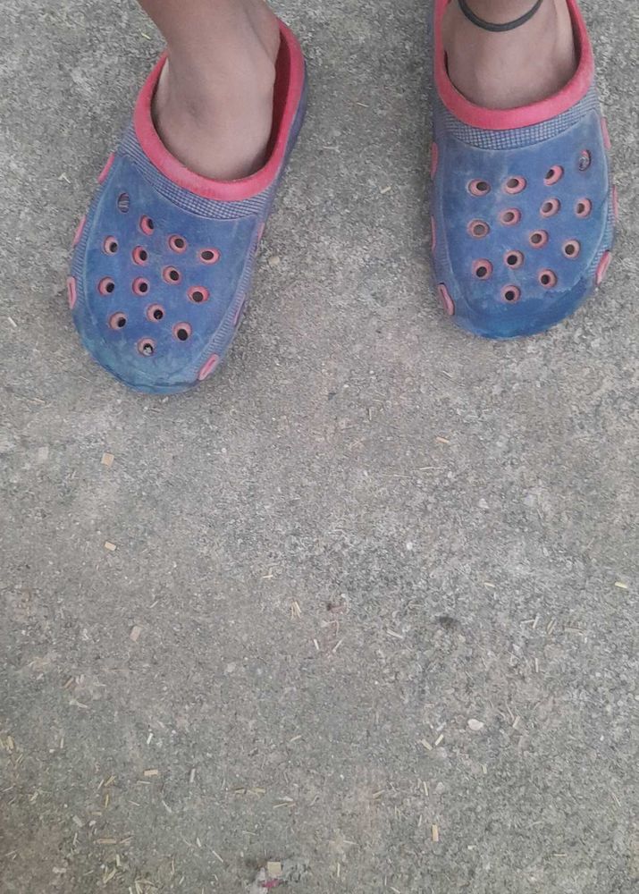Blue &amp; Pink Clogs