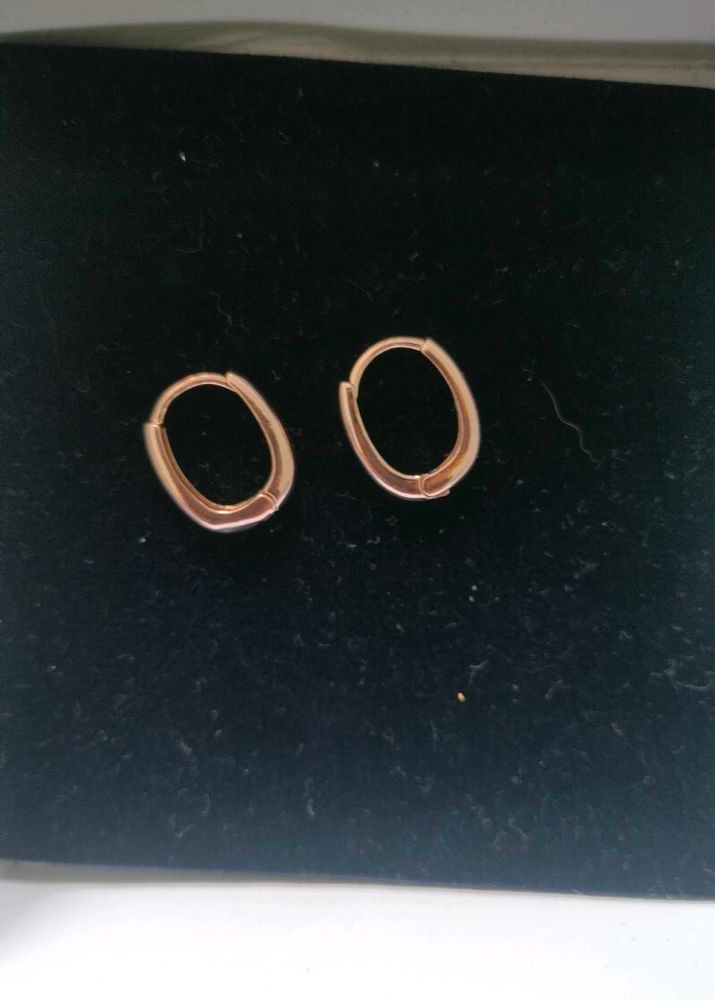 Rose Gold Hoop Earrings