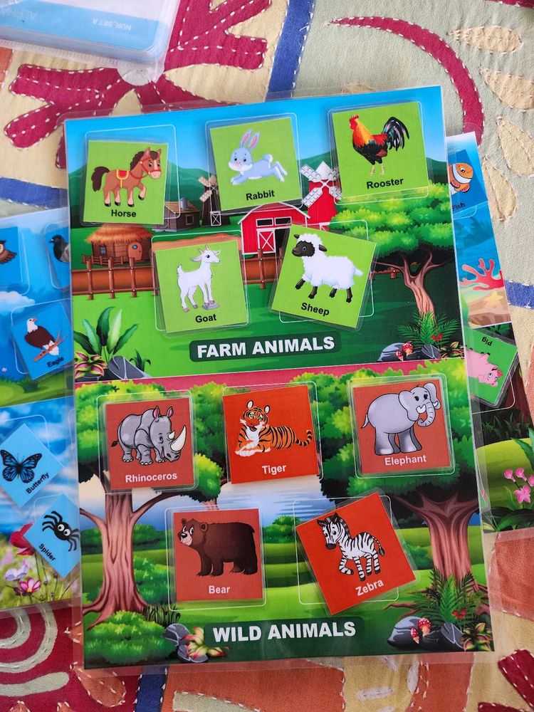 Combo For Kids Learning