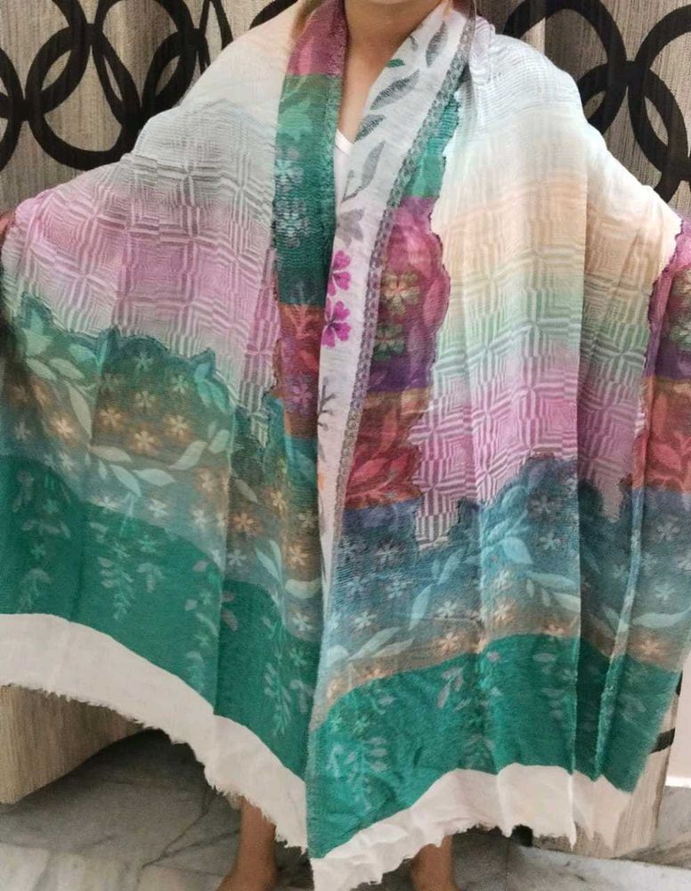 Pashmina Showl Light Weight