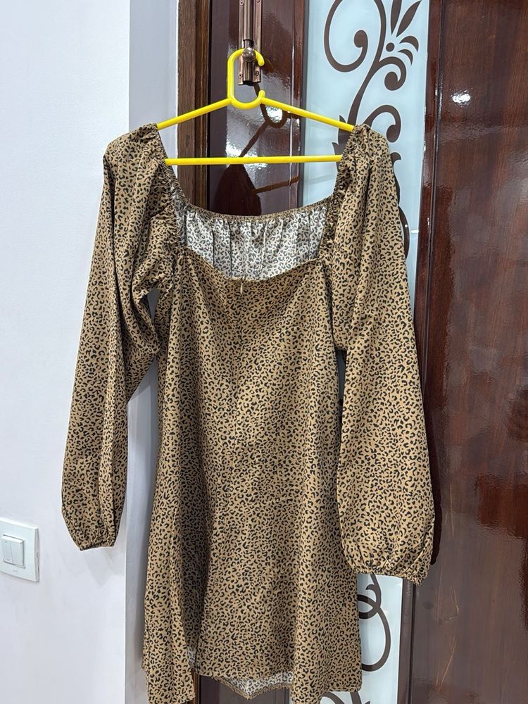 Leopard Print Mini Dress