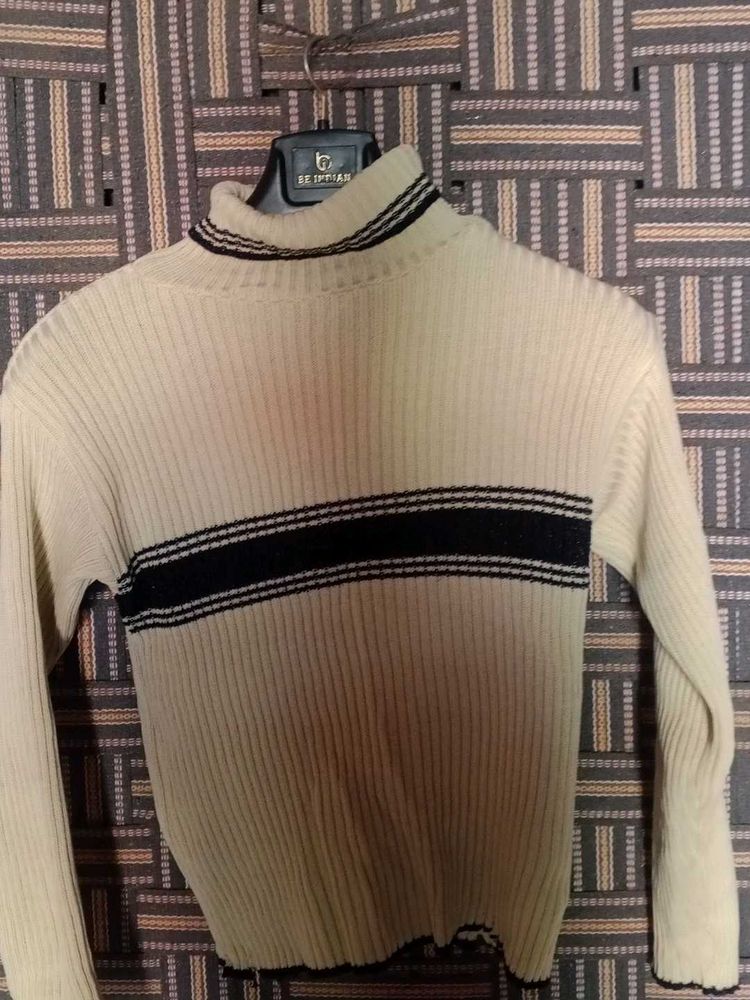 Striped Turtleneck Sweater