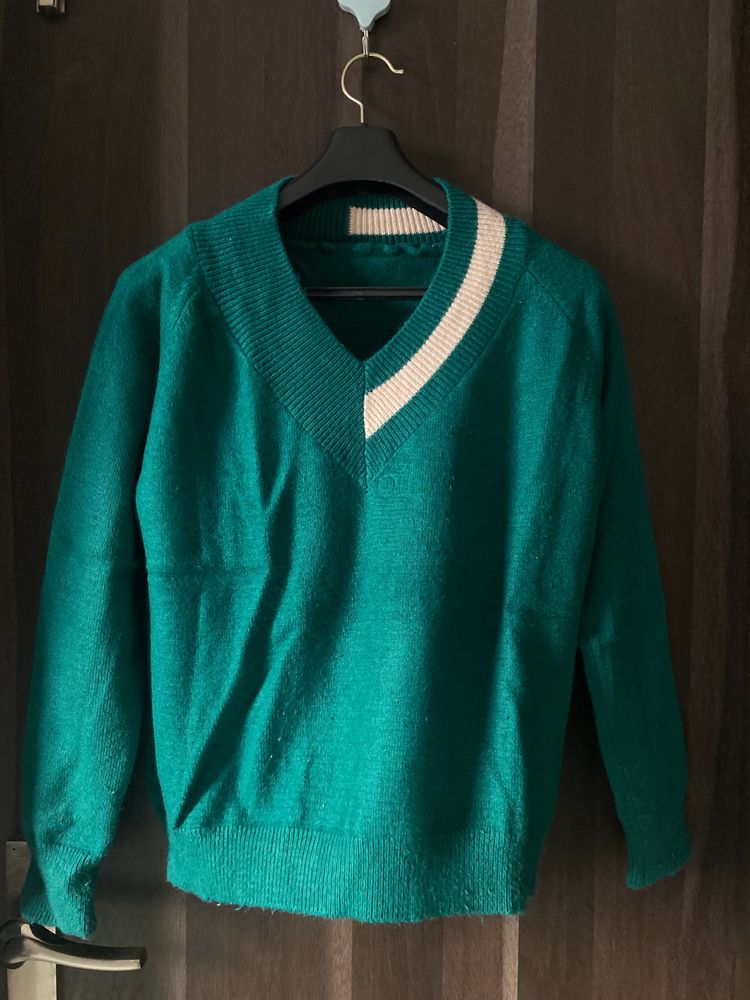 Green Sweater 🦖