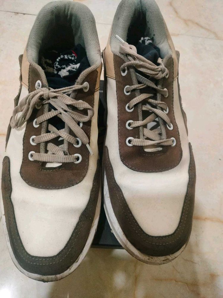 Casual Sneakers