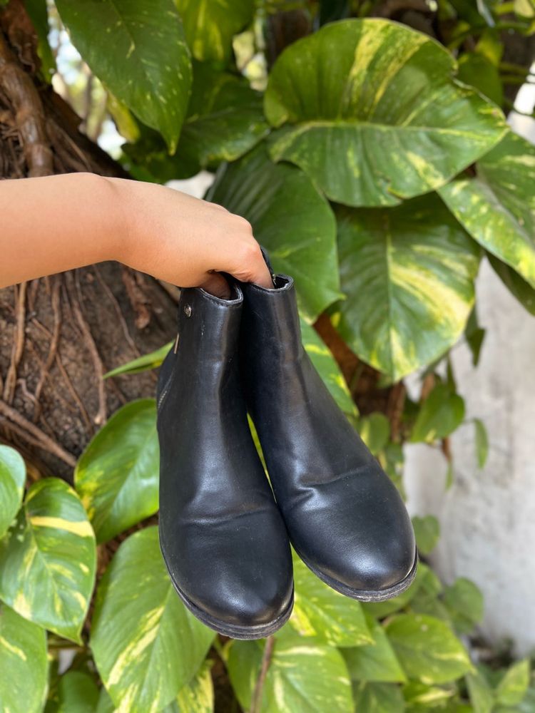 El Paso Women Black Casual Ankle Boots