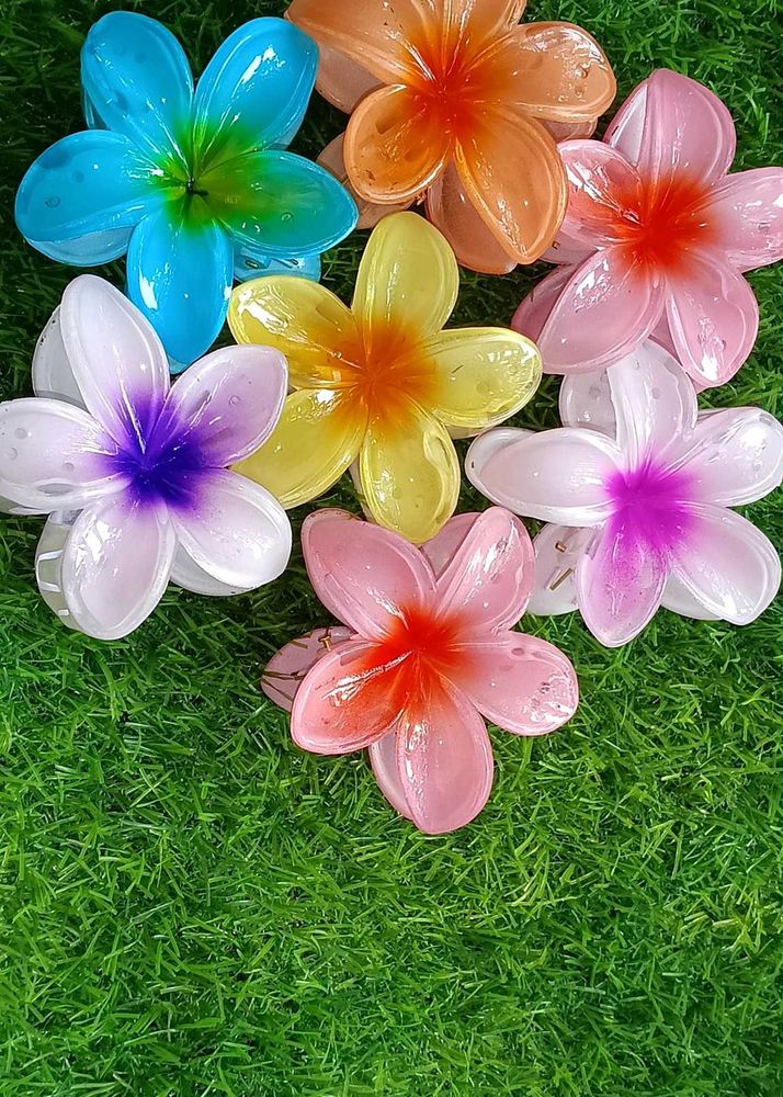 Frangipani Flower Hair Claw Clip Set