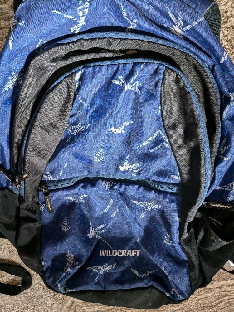 School/College Bagpack