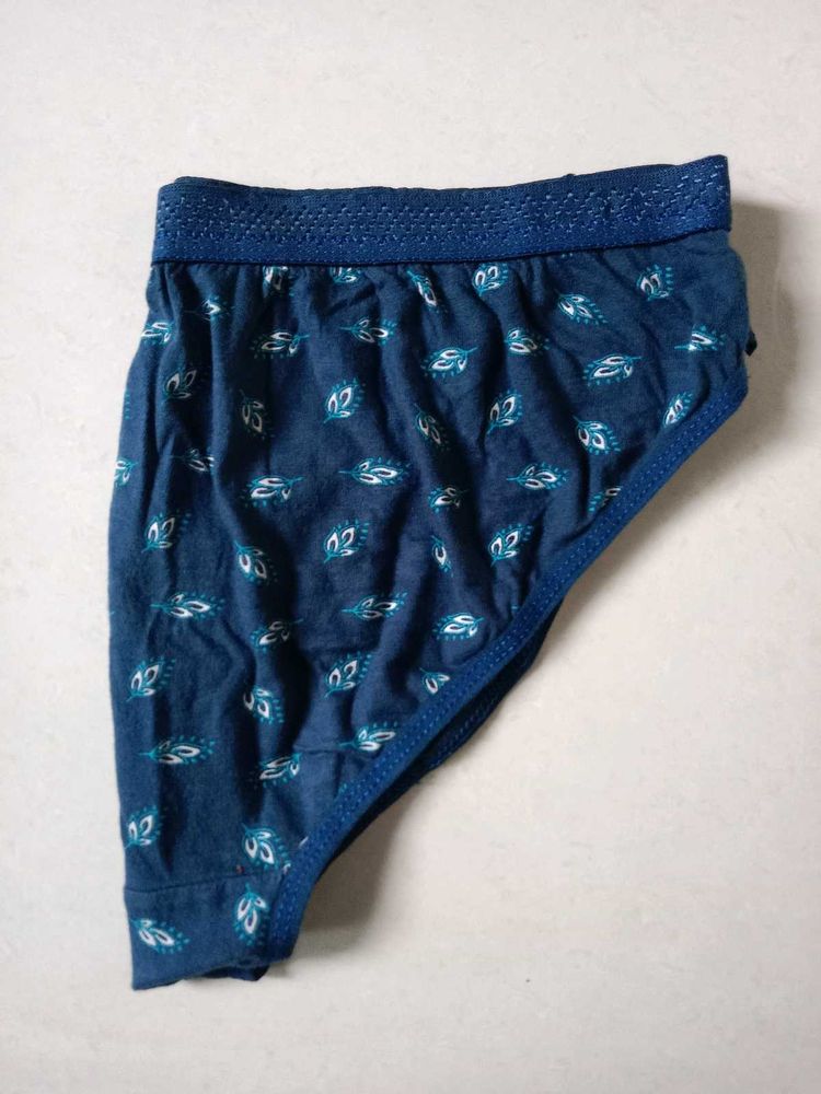 Blue 40/L Brief Panty