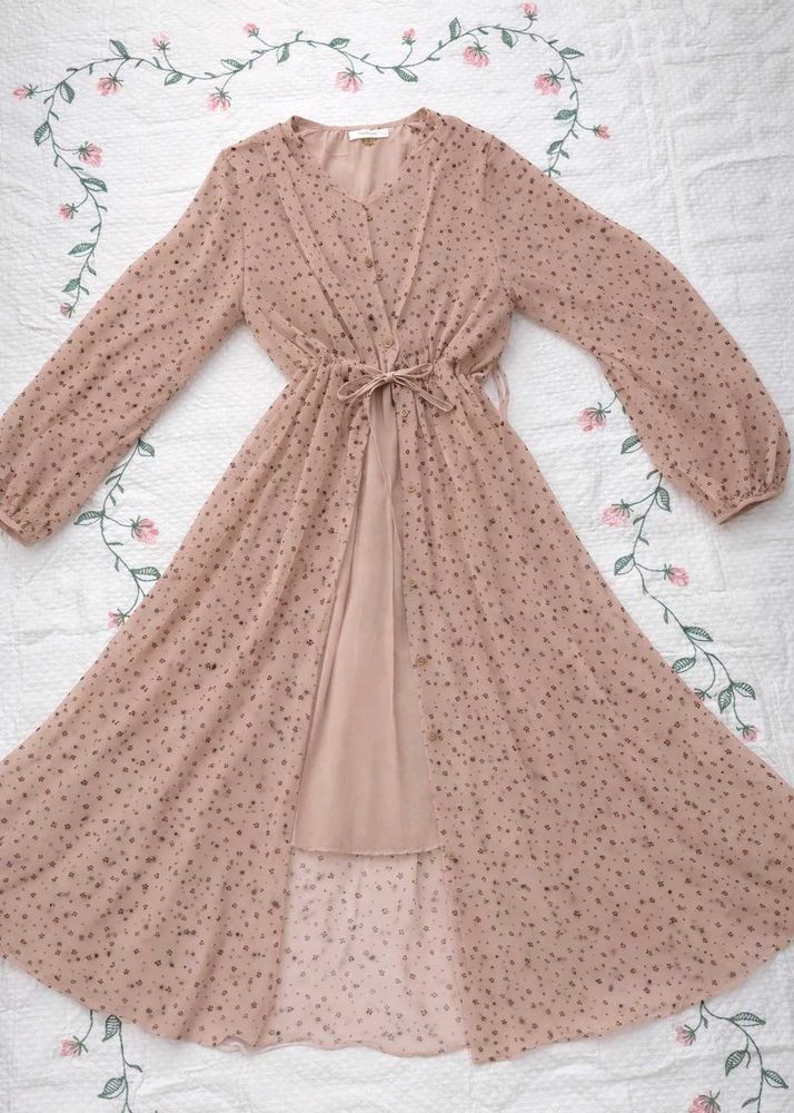 Elegant Sheer Long Sleeve Dress
