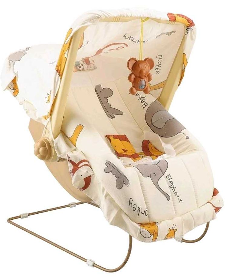Baby Rocker And Carry Cot