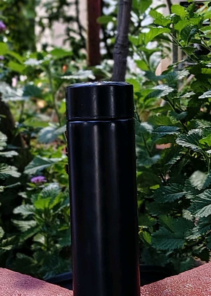 Black Insulated Water Bottle