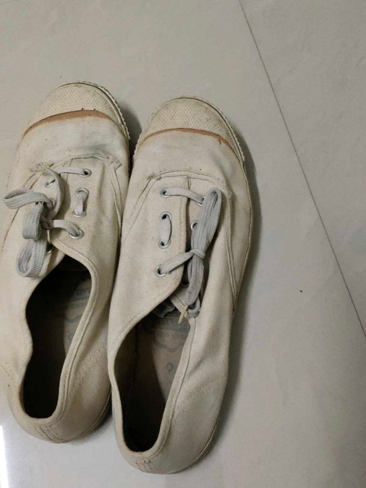 Canvas Mens Shoes