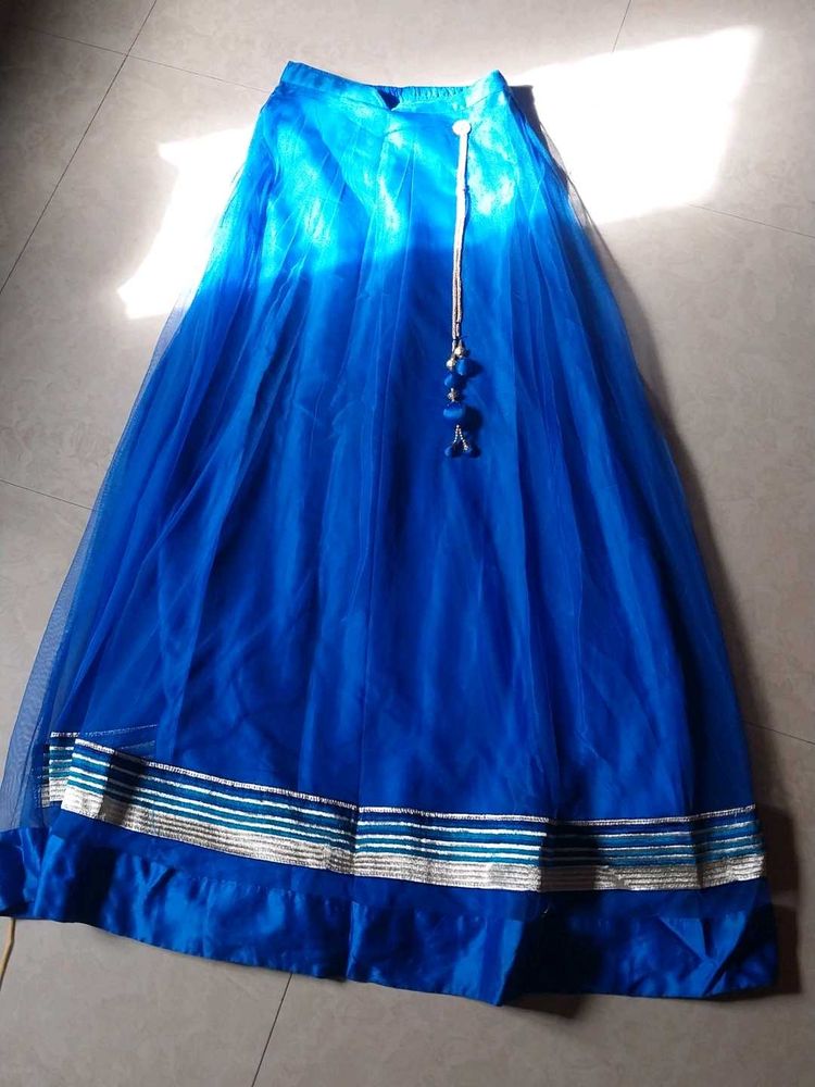 Elegant Blue Ethnic Skirt