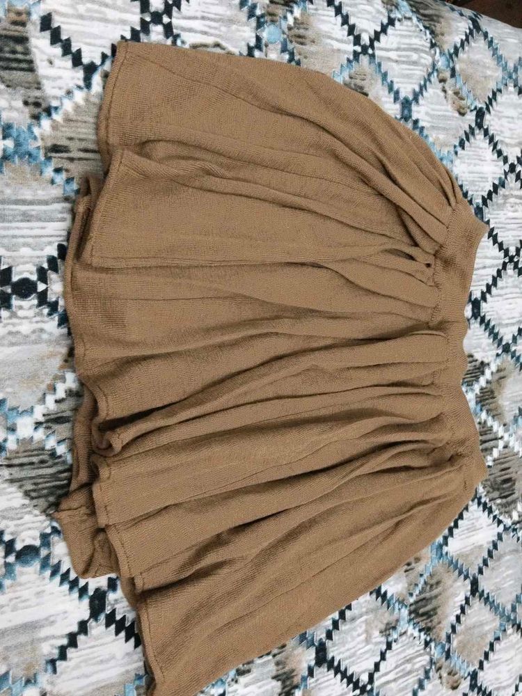 Brown Skirt