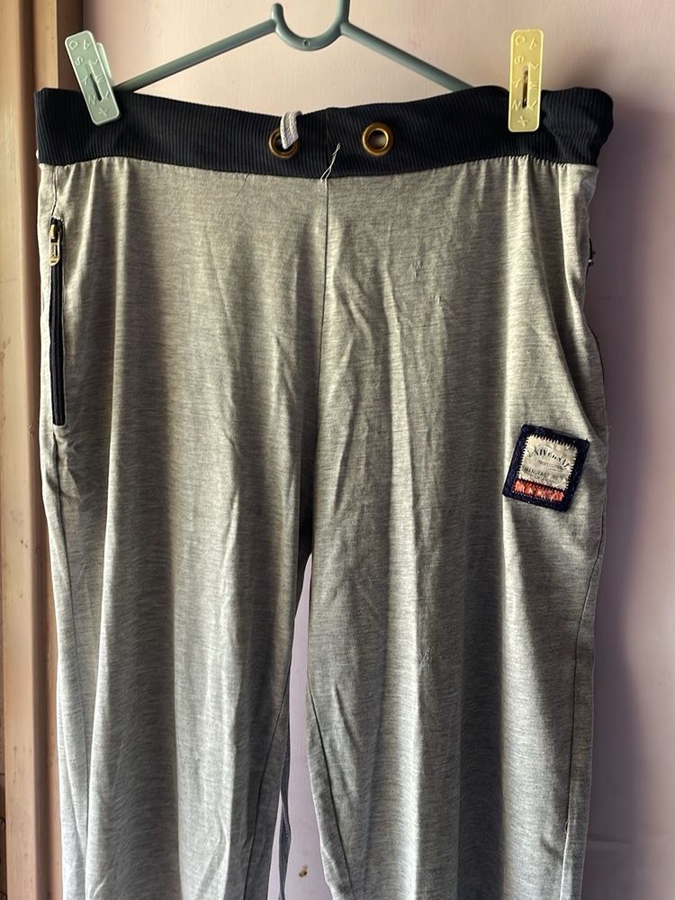 Gray Casual Pants