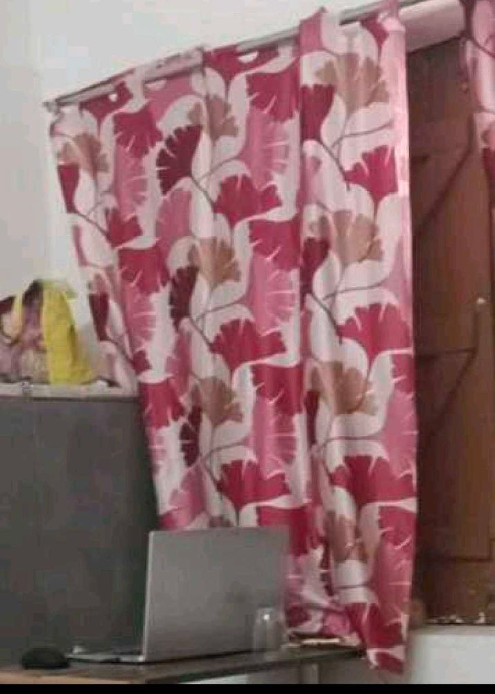 Pink Curtains
