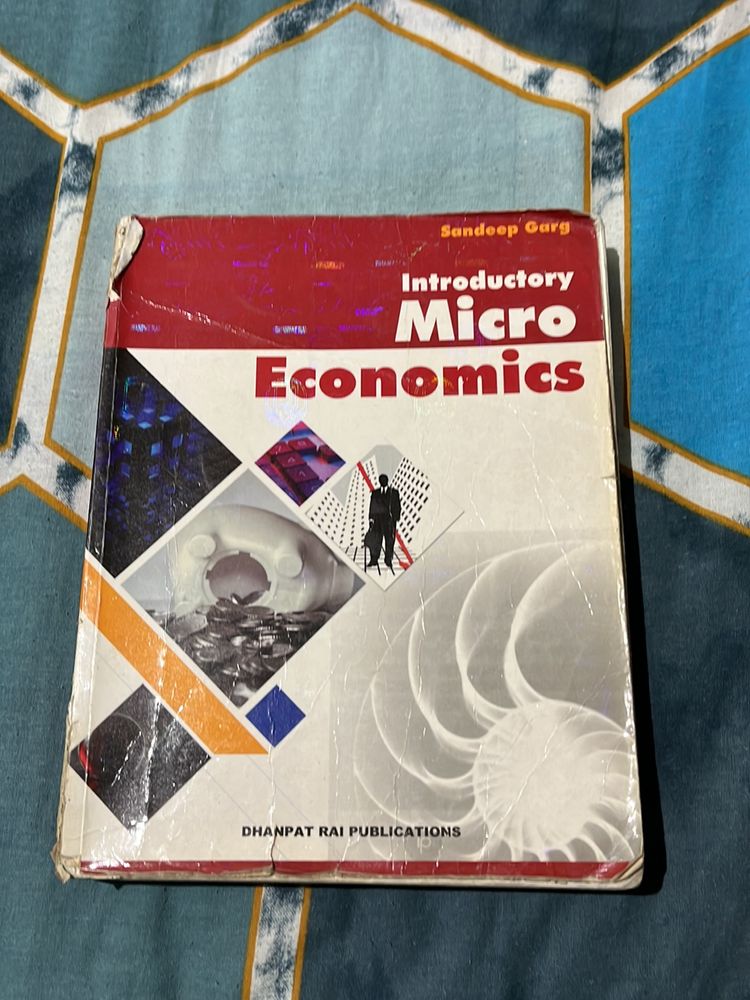 Micro Economics Class 12