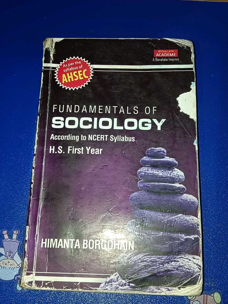 Fundamentals Of Sociology