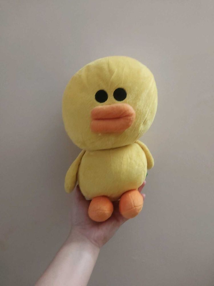 Duck Plushies