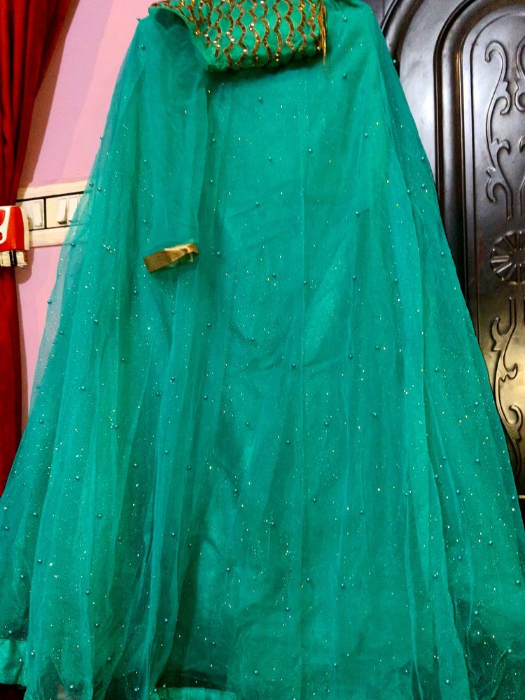 Elegant Partywear Lehnga Choli With Dupatta