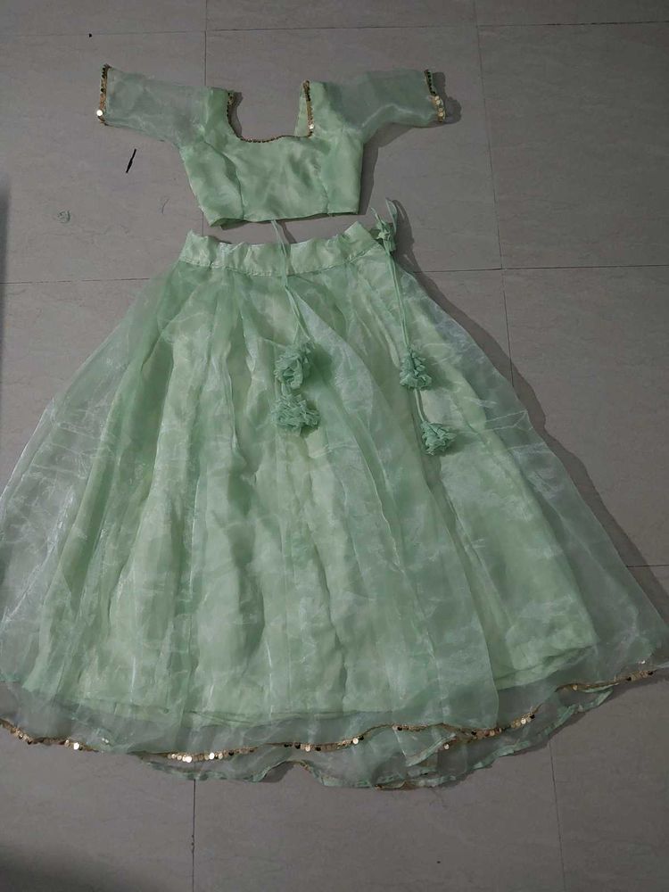 Elegant Mint Green Lehenga Choli Set