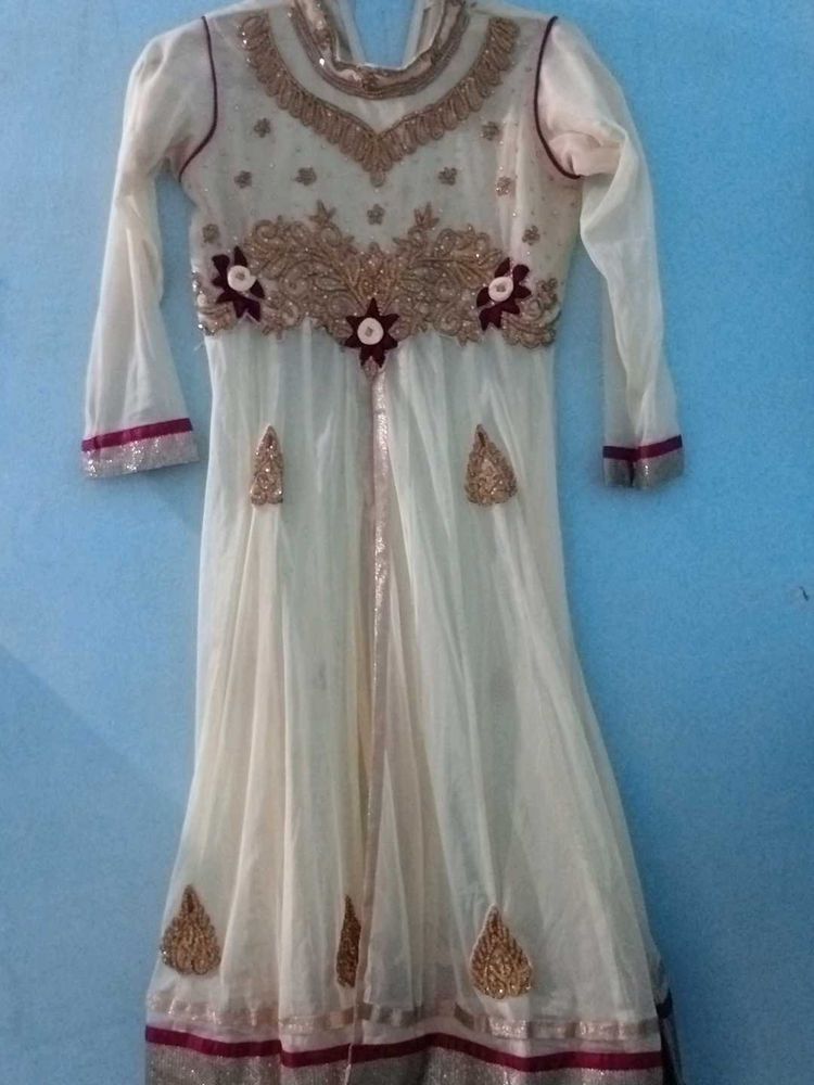 Elegant Ethnic Gown