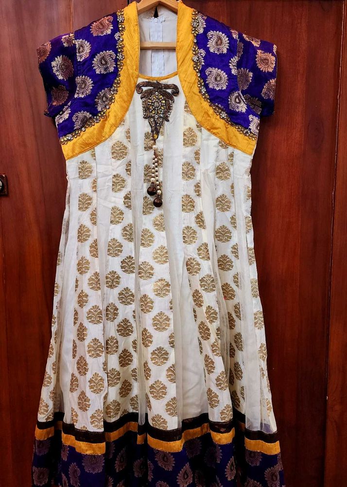 Elegant Indian Anarkali Dress