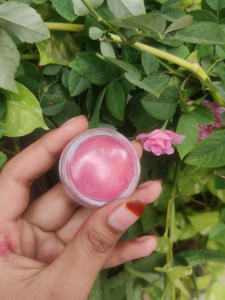 Blush &amp; Highlighter