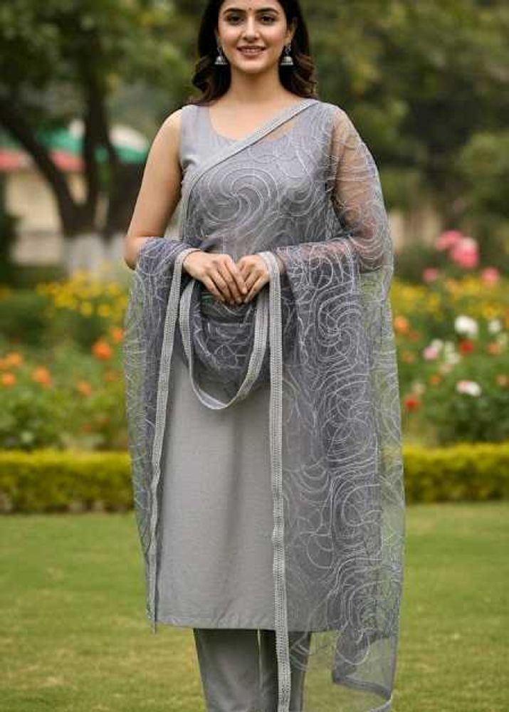 Grey Elegant Net Dupatta