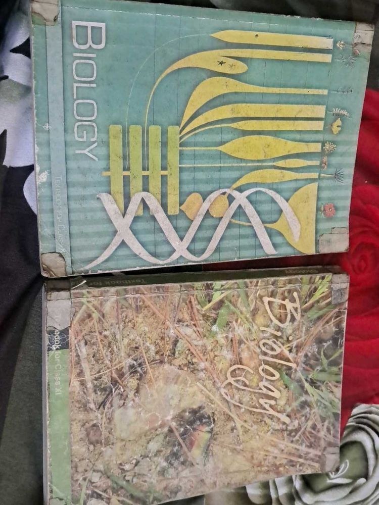 Ncert Biology 1st And 2nd Year Textbooks