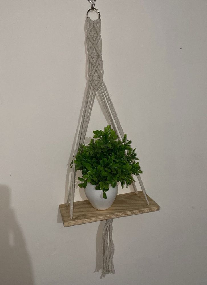 Macrame Plant Hanger