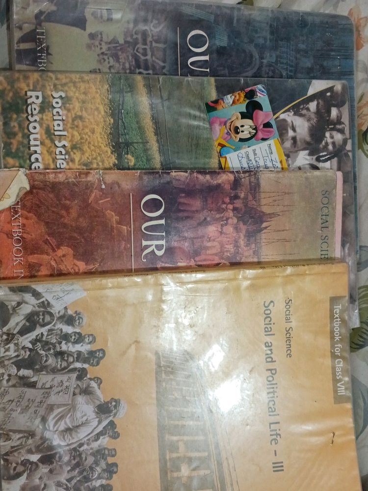 Class 8 Sst Book Ncert Set