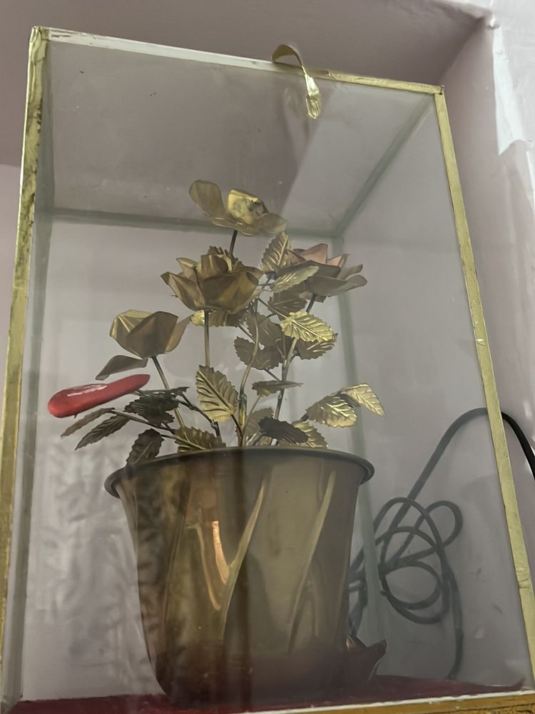 Brass Rose Showpiece in Glass Case