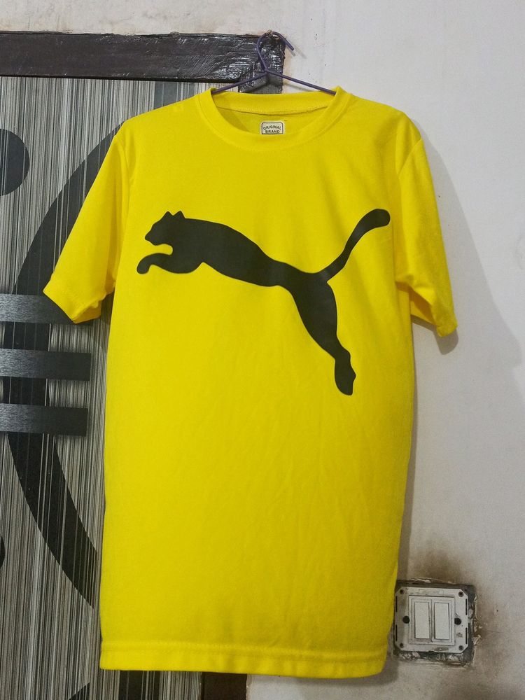 M Size