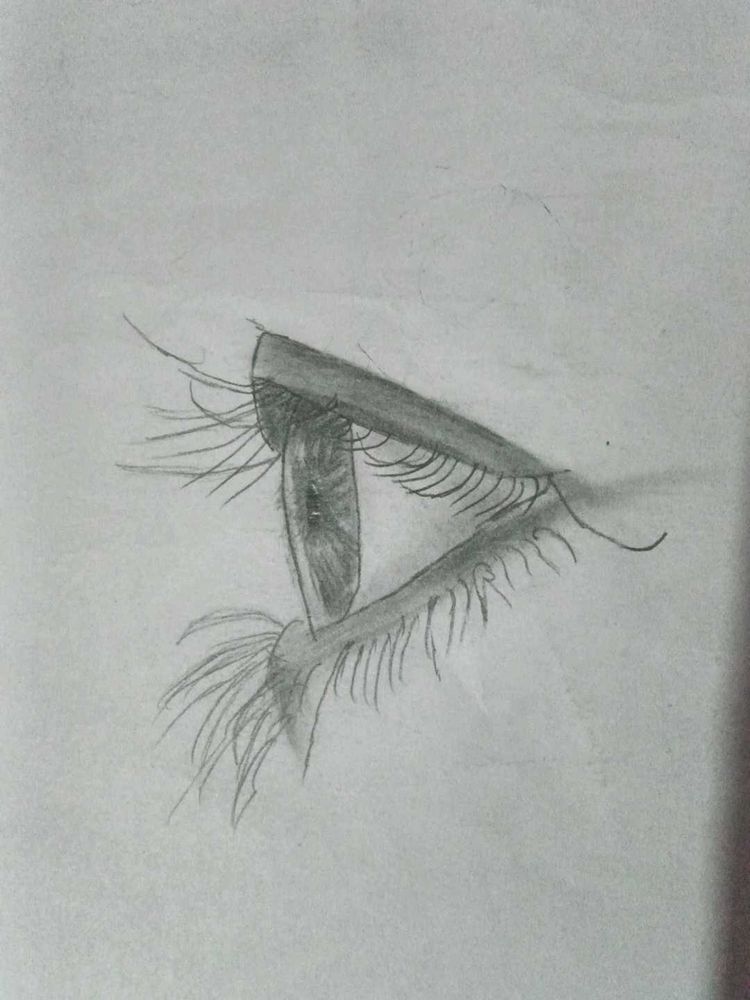 Eye Sketch Artwork