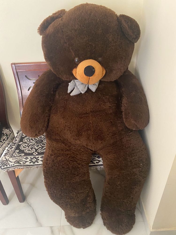 Giant Teddy Bear