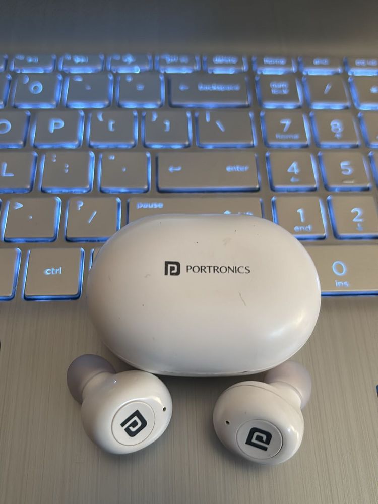 Portronics Earphones